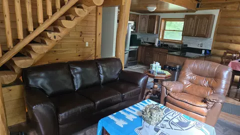 Living - 11809 Bear Track Trl, Frederic, MI 49733 photo 3 of 4
