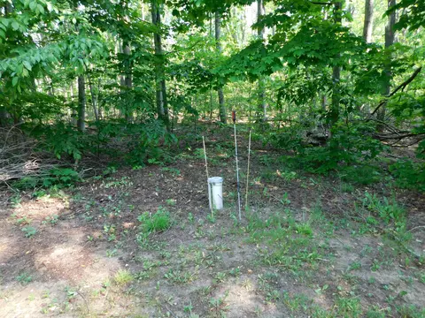 Exterior - 11809 Bear Track Trl, Frederic, MI 49733 photo 10 of 13