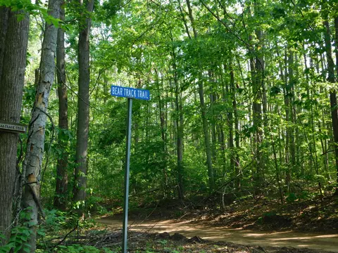 Other - 11809 Bear Track Trl, Frederic, MI 49733 photo 14 of 14