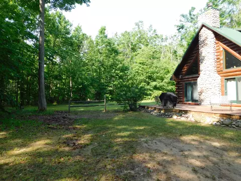 Exterior - 11809 Bear Track Trl, Frederic, MI 49733 photo 11 of 13