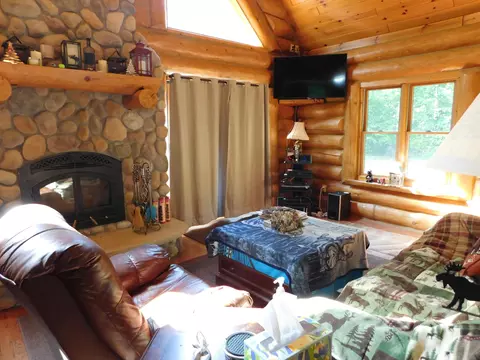 Living - 11809 Bear Track Trl, Frederic, MI 49733 photo 2 of 4