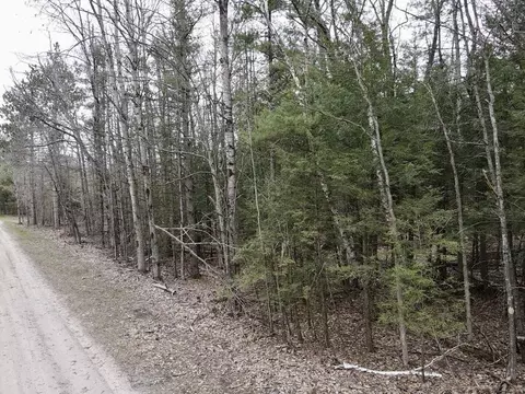 Par 2 Needles Road #PARCEL 2, Indian River, MI 49749 photo 6