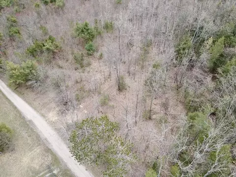 Par 2 Needles Road #PARCEL 2, Indian River, MI 49749 photo 3