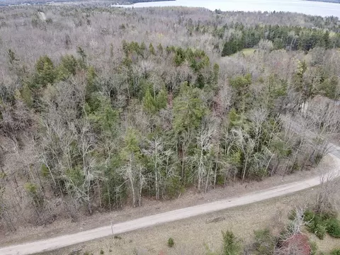 Par 2 Needles Road #PARCEL 2, Indian River, MI 49749