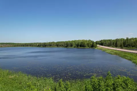 20 Ac Camp 23 Rd #20 ACRES, Gulliver, MI 49840