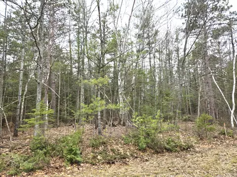 lot513 Balsam Cir, Presque Isle, MI 49777