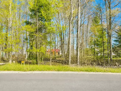 lot2 Chippewa Trl #003-402-002-0000, Prudenville, MI 48651