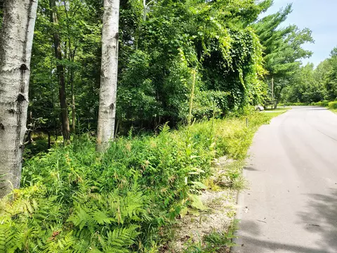 lot2 Chippewa Trl #003-402-002-0000, Prudenville, MI 48651