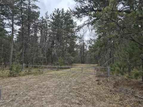 80 Ac Willows Rd #80 ACRES, Roscommon, MI 48653