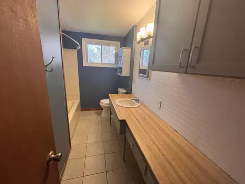 Bath - 1098 Wayne Rd, Alpena, MI 49707 photo 1 of 2