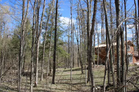 Exterior - 4606 N Mount Tom Rd, Comins, MI 48619 photo 4 of 9