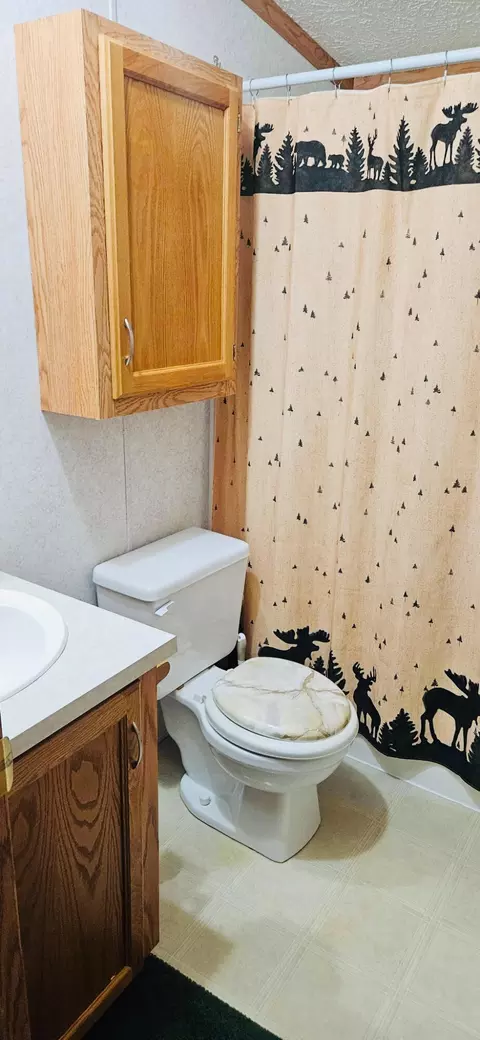 Bath - 9518 Greenway Dr, Frederic, MI 49733 photo 5 of 5