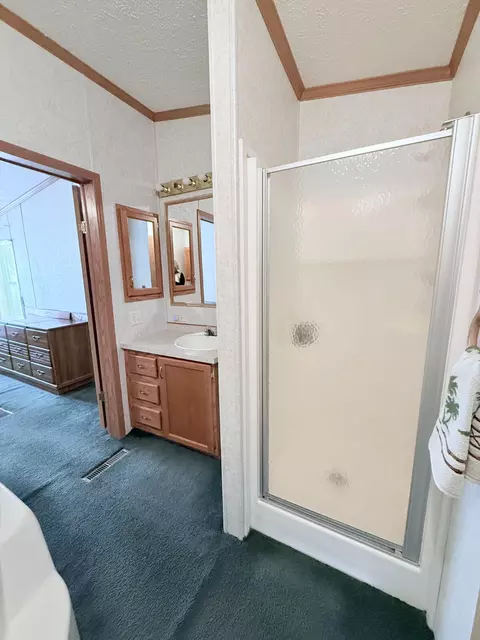 Bath - 9518 Greenway Dr, Frederic, MI 49733 photo 4 of 5