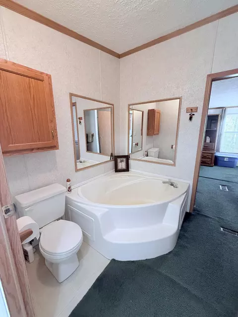 Bath - 9518 Greenway Dr, Frederic, MI 49733 photo 2 of 5
