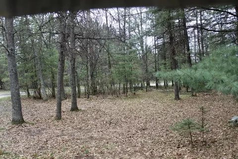 Exterior - 9850 S Grayling Rd, Roscommon, MI 48653 photo 3 of 4