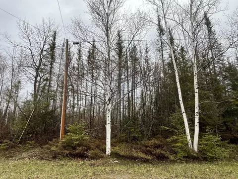 lot170 Timberway Dr, Presque Isle, MI 49777