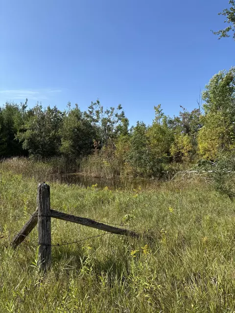 68 21 Ac Salina Rd #68.21AC - 032-031-000-251-00, Lachine, MI 49753