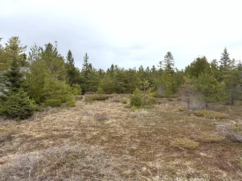 8292 N Point Shrs, Alpena, MI 49707