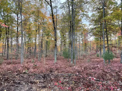Par D N Cut Road, Roscommon, MI 48653