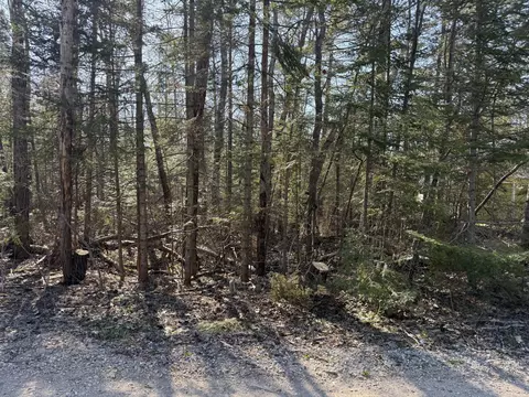14241 Waldmar Ct #LOT 534, Cheboygan, MI 49721