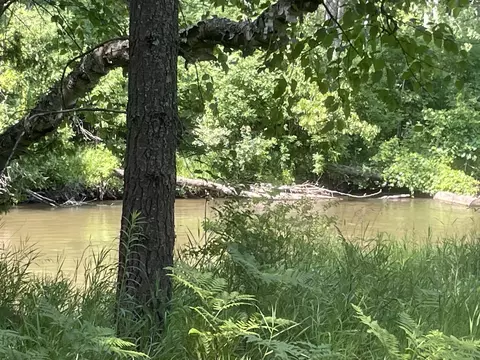 24570 W Riverside Dr, Hillman, MI 49746
