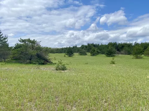 11 N 5 Ac N Townline Rd #11.5 ACRES, Gaylord, MI 49735