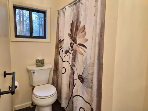 Bath - 208 E Loves Dr, Roscommon, MI 48653 photo 3 of 5