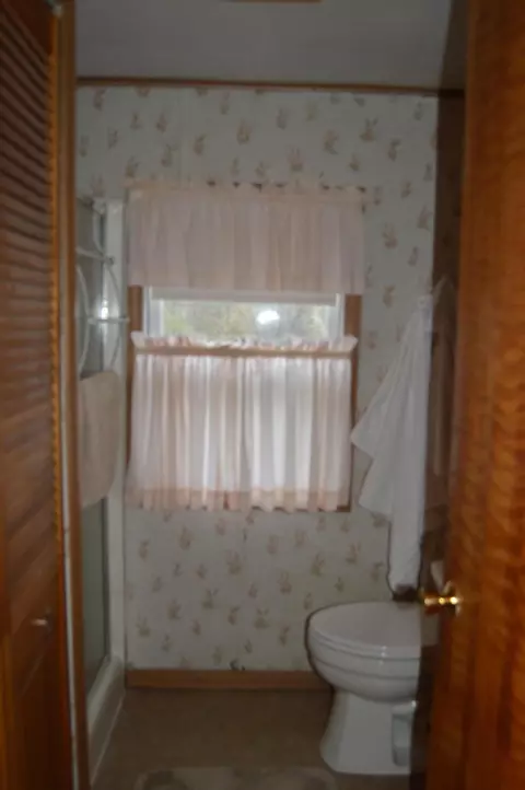 Bath - 832 E Hillcrest Dr, Mio, MI 48647 photo 1 of 1