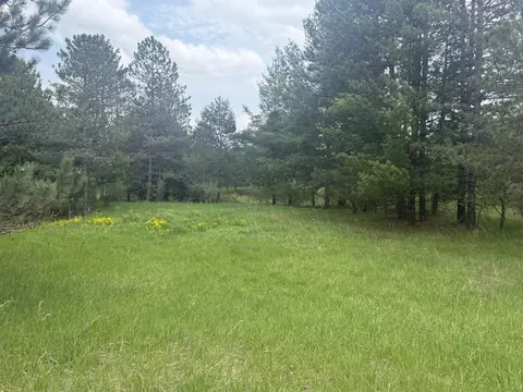 88 Linksview Way, Gladwin, MI 48624