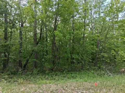 lot151 Snowcrest Trl, Elmira, MI 49730