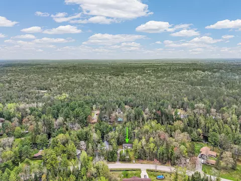 View/Area - 1758 Dewitt Trl, Roscommon, MI 48653 photo 8 of 13
