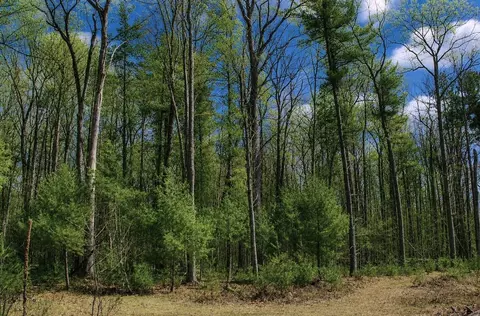 6180 N Roscommon Rd, Roscommon, MI 48653 photo 3