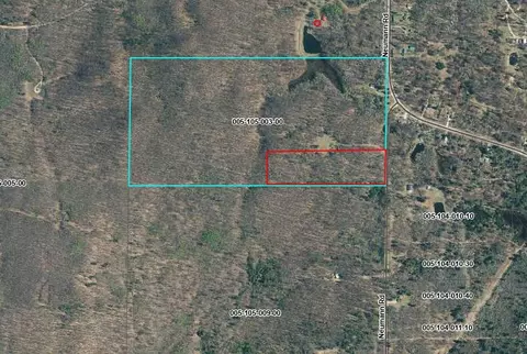 Parcel A Neumann Road #10 ACRES, Lewiston, MI 49756