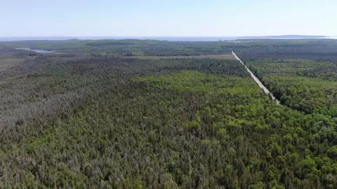 40 Ac Cheeseman Rd #40 ACRES, St. Ignace, MI 49781