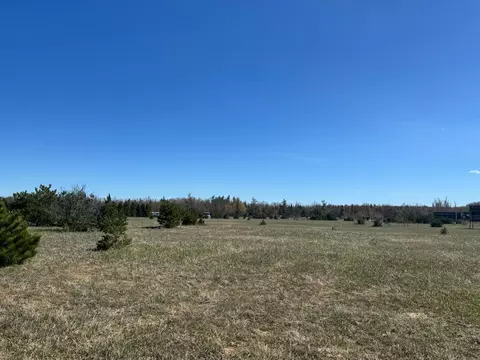 Parcel C Old 27 N Highway #29.7 ACRES, Vanderbilt, MI 49795