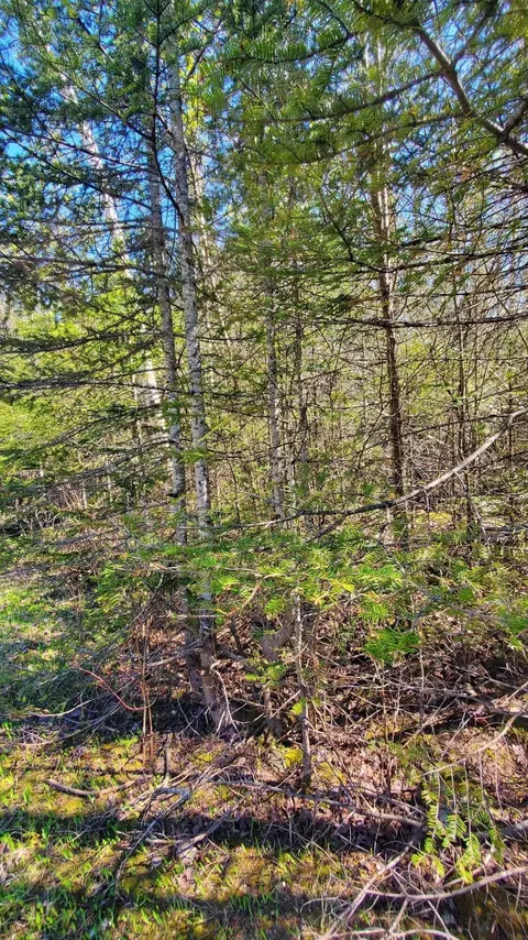 lot292 Bay View Dr, Presque Isle, MI 49777
