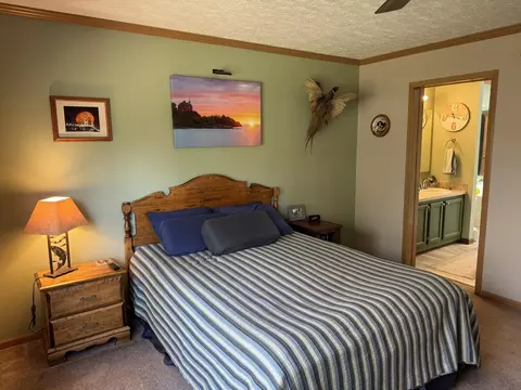 Bedroom - 6708 Tremble Trl, Pellston, MI 49769 photo 2 of 3