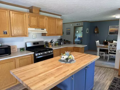 Kitchen - 6708 Tremble Trl, Pellston, MI 49769 photo 3 of 3
