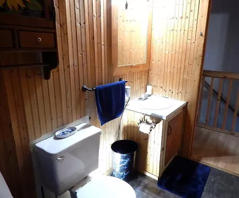 Bath - 2389 W Maplehurst Dr, Roscommon, MI 48653 photo 2 of 7