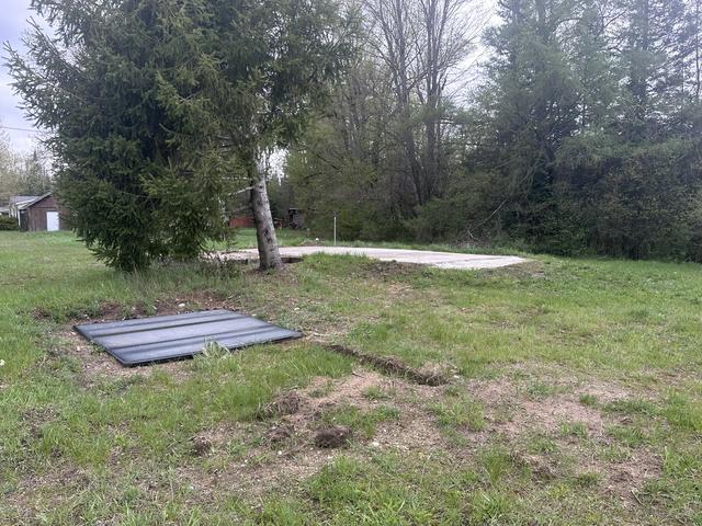 6546 N Kolka Creek Rd, Frederic, MI 49733