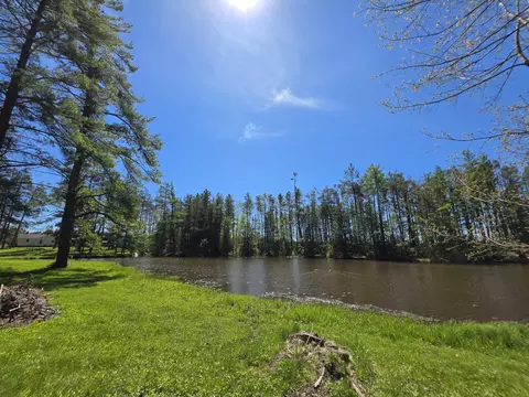 View/Area - 1470 Helmer Lake Rd, Fairview, MI 48621 photo 5 of 7