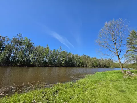 View/Area - 1470 Helmer Lake Rd, Fairview, MI 48621 photo 2 of 7
