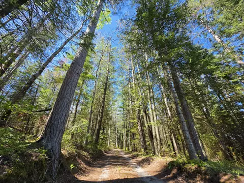 Other - 1470 Helmer Lake Rd, Fairview, MI 48621 photo 28 of 29