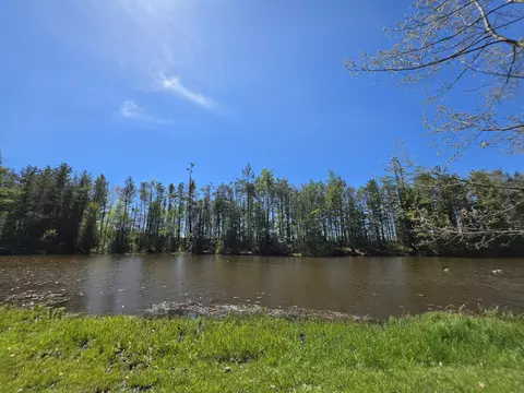 View/Area - 1470 Helmer Lake Rd, Fairview, MI 48621 photo 6 of 7