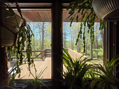 Other - 1470 Helmer Lake Rd, Fairview, MI 48621 photo 13 of 29