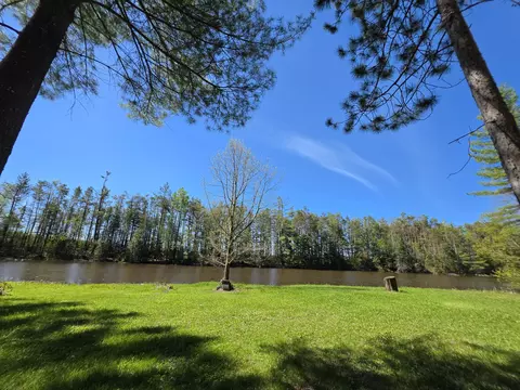 View/Area - 1470 Helmer Lake Rd, Fairview, MI 48621 photo 1 of 7