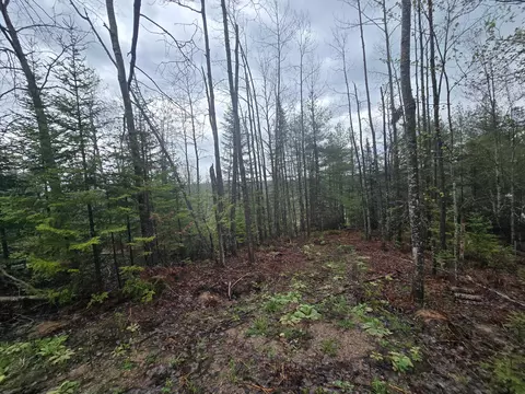 14453 W Shoreline Dr, Wolverine, MI 49799