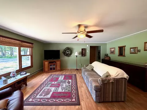 Living - 332 Pingree St, Roscommon, MI 48653 photo 5 of 6