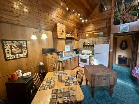 Kitchen - 2410 N Manistee River Rd, Grayling, MI 49738 photo 5 of 5