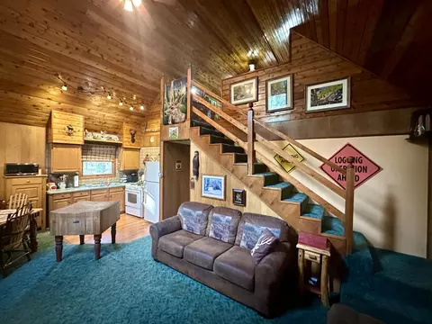 Living - 2410 N Manistee River Rd, Grayling, MI 49738 photo 3 of 4